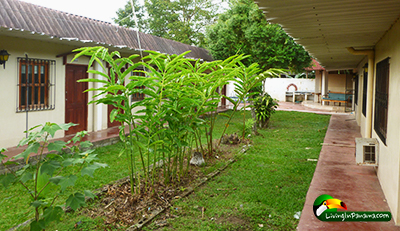 2 one story buildings with grass and landscaping between them