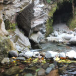 a couple partially submerged in a mountain stream