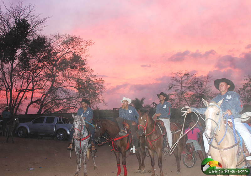 It’s Rodeo Season In Panama (Pista de Lasso )