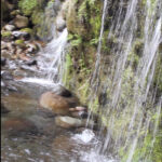 water falling over moss covered rocks into river