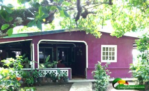 purple or fushia colored house under a tree