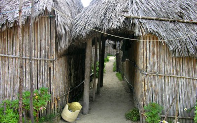 closely spaced bambo & thatched house