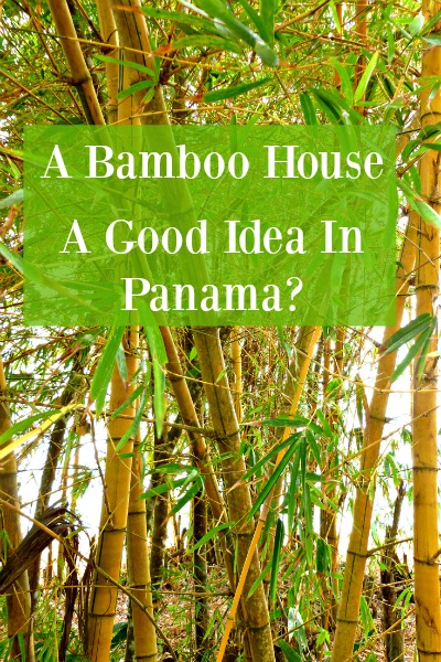 Can You Build A Bamboo House In Panama?