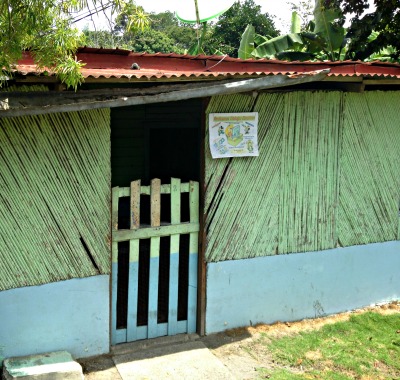 painted bamboo house with tin roof