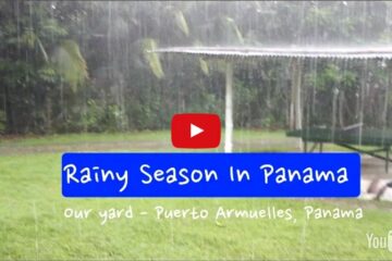 screenshot of video of rainy day