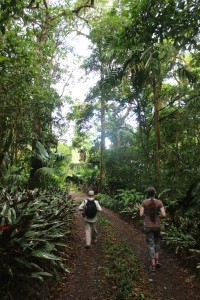 2 people walking down dirt path in the tropical highlands