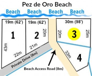 graphic of site plan showing 3 beach front and one back lot