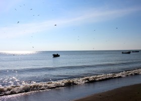 sun glistening on calm ocean with fishing boats bobbing