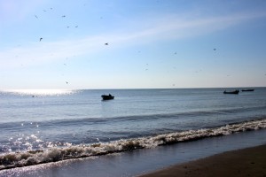 sun glistening on calm ocean with fishing boats bobbing