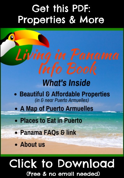 beach background with text about Living In Panama Info Book