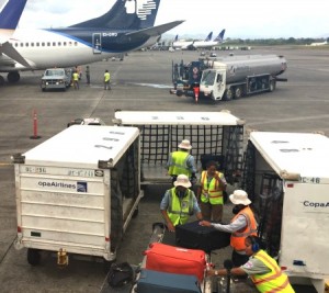 baggage handlers for Copa at Tocumen airport