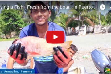 video screenshot of man in boat holding a fish