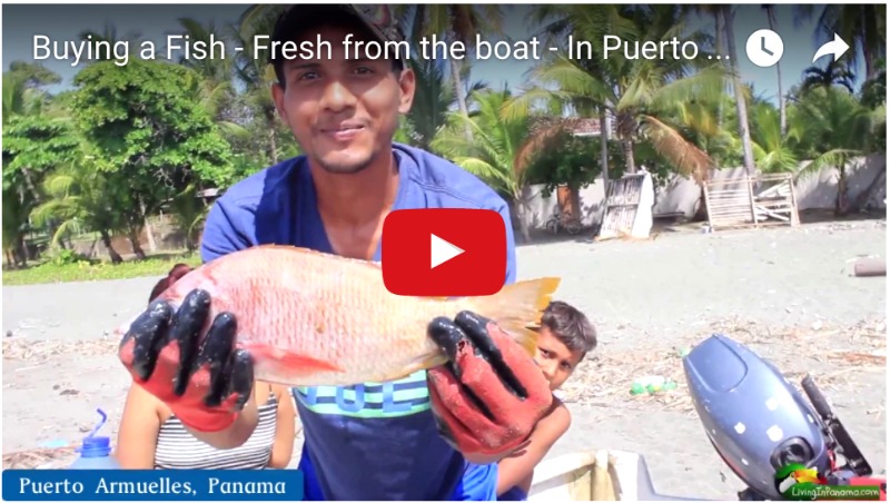 A Fish – Fresh Off The Boat in Puerto Armuelles