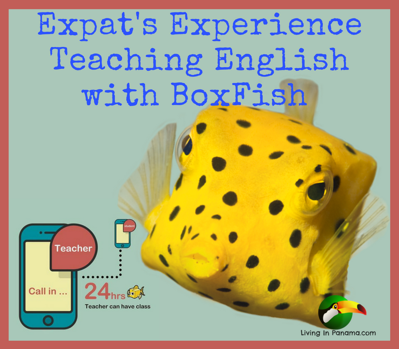 Teaching English with Boxfish