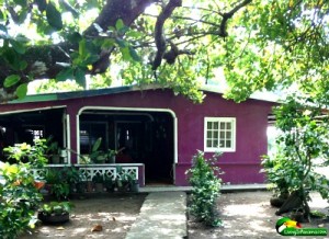 purple house with trees