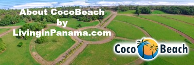 Aerial photo of CocoBeach lots with text