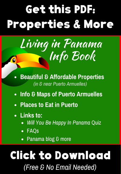 cover of puerto armuelles real estate and info book with text about download and more