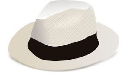 Photo of a white Panama Hat