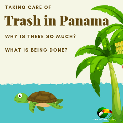 graphic about trash in panama with image of turtle, ocean, and palm tree