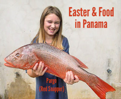 a little girl hold a very large red snapper in Panama