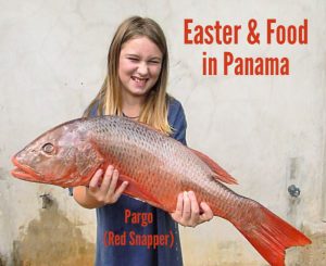 a little girl hold a very large red snapper in Panama