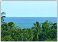 View of green tree tops, blue ocean and blue sky