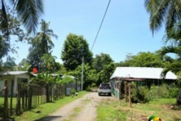 unpaved road, one house on either side, trees, blue sky